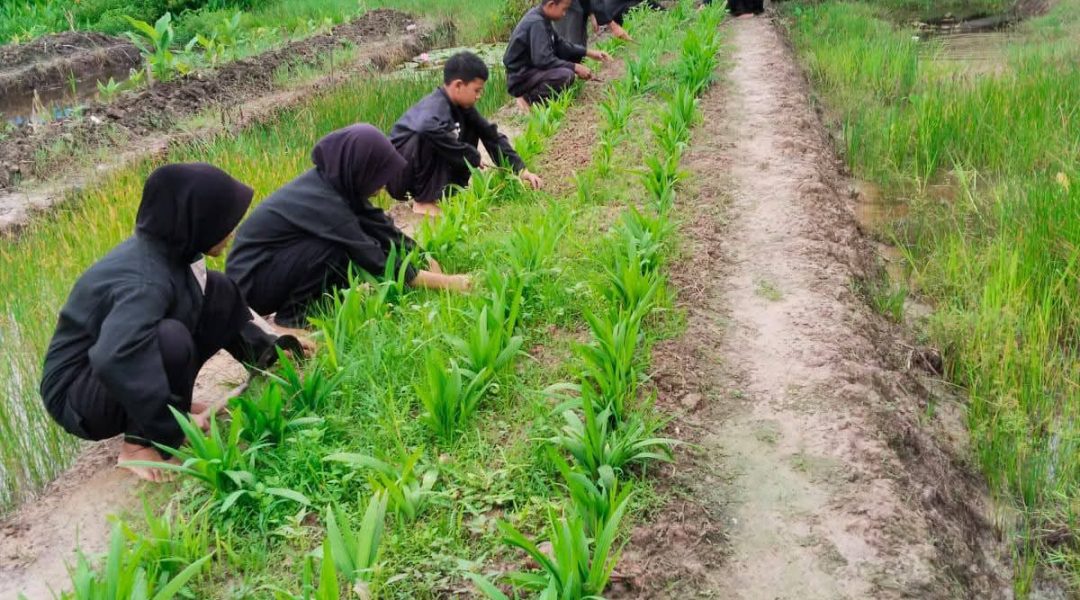 WhatsApp Image 2025-07-15 at 09.22.45 (1)