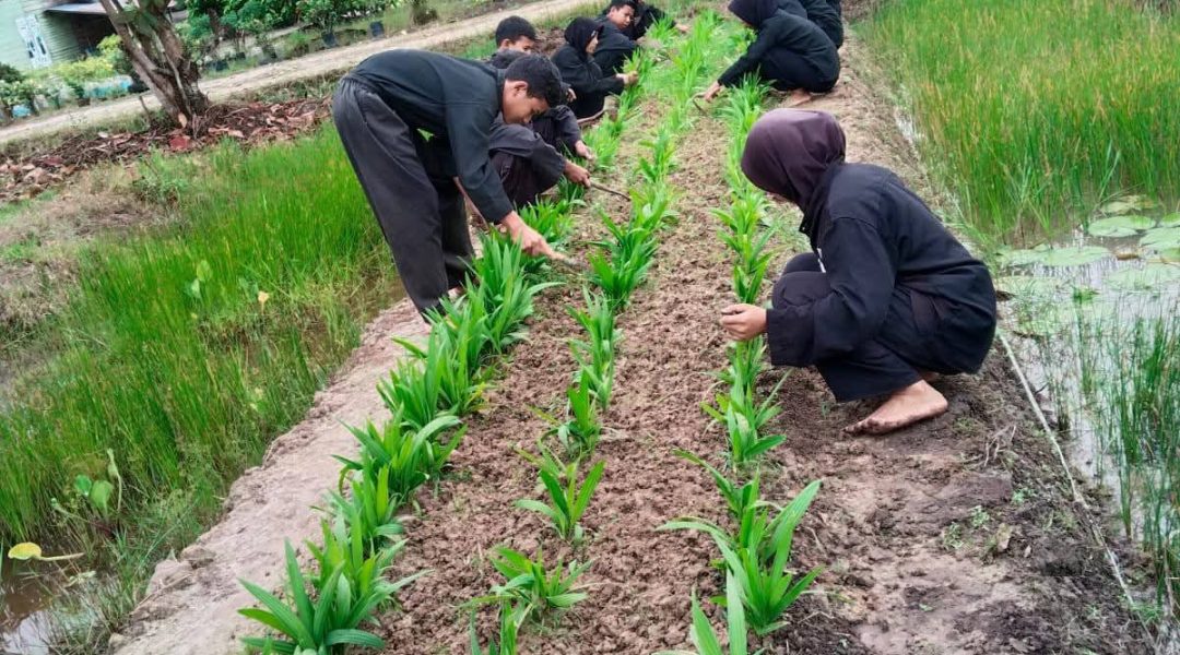 WhatsApp Image 2025-07-15 at 09.22.46