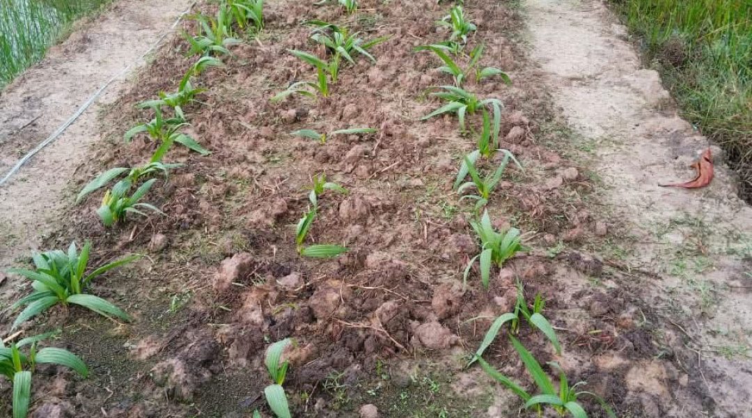 WhatsApp Image 2025-07-15 at 09.22.47