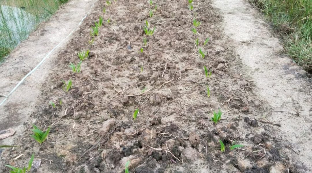 WhatsApp Image 2025-07-15 at 09.22.48